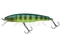Señuelo Illex Arnaud 100 F | 10cm 16g - Secret Grass Gill
