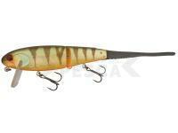 Señuelo Illex Flat Bone Clicker 22cm 48g - Aggressive Perch