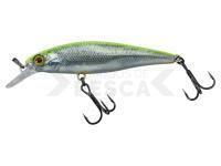 Señuelo duro Illex Squad Minnow 65 SP - RT Visible Roach