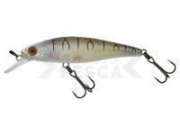 Señuelo duro Illex Squad Minnow 95 SP - Tiger Bone