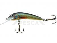 Señuelo Jaxon Ferox 6cm F Color UK