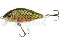 Señuelo Jaxon Holo Select Karaś Nature 3D 9cm 17g - PC