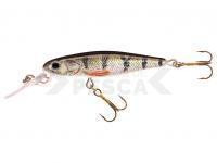 Señuelo Jaxon Holo Select Manga DR 5cm 8g - OK