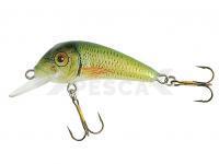 Señuelo Jaxon Holo Select Senso 40F 4cm 2.8g - PZ