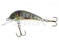 Señuelo Jaxon Holo Select Senso 55F 5.5cm 5.7g - EB