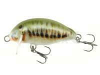 Señuelo Kenart Chubby 4cm 3.5g - M