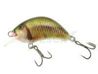 Señuelo Kenart Hunter 5cm GO