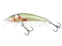 Señuelo Kenart Sneck Shallow 10cm 18g - NRG