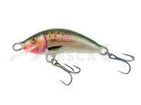 Señuelo Kenart Winner 2,5cm G