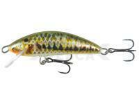 Señuelo Kenart Winner Flat DR 4.5cm 3g - M