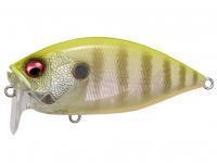 Señuelo Megabass Over Rev Crank 70mm 17.5g 5/8oz. - PM CHART BACK GILL