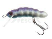 Señuelo Microbait Daisy 31mm - Musca