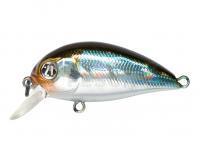 Señuelo Pontoon21 Hypnose 38F SR | 38mm 3.7g - 005 Crash HG Wakasagi