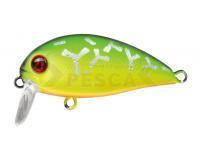 Señuelo Pontoon21 Hypnose 38F SSR | 38mm 3.8g - 070 Fire Tiger