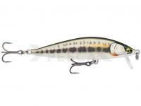 Señuelo Rapala CountDown Elite 9.5cm 14g - Gilded Minnow (GDMN)