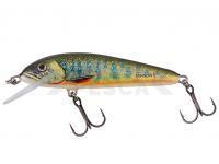 Señuelo Salmo Minnow Floating 5 | 5cm 3g | 2" 1/16oz - Lake Charr