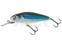 Señuelo Salmo Perch PH8DR - Holo Smelt
