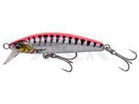 Señuelo Mar Savage Gear Gravity Minnow 6cm 12g Fast Sinking - Pink Barracuda Photo Print