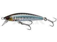 Señuelo Mar Savage Gear Gravity Minnow 6cm 12g Fast Sinking - Sardine Photo Print