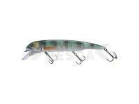 Señuelo Savage Gear Sucker Flanker 25cm 107g - Perch Glitter