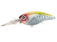 Señuelo duro Shimano Bantam Kozak DR | 54mm 8g - 007 A Clown