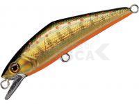 Señuelo Smith D-Contact 50mm 4.5g - 23 G Yamame