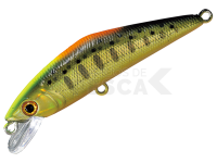 Señuelo Smith D-Contact 50mm 4.5g - 52 CG Indicator