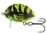 Señuelo Salmo Lil`Bug BG2F - WASP