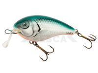 Señuelo Vidra Lures Nautilus Shallow Runner | 6 cm 13 g SR F - GR