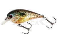 Señuelo Westin BassBite Squarebill BassBite 1.5 | 6cm 13g - Real Pumpkinseed