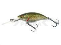Señuelo duro Westin BuzzBite Crankbait 6cm 10g Suspending - Lake Roach