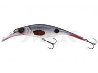 Señuelo duro Westin Platypus Crankbait 22cm 150g Low Floating - Stamped Roach