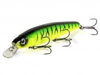 Quantum 4street Bangry Zander