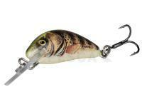 Salmo Hornet 2,5 cm