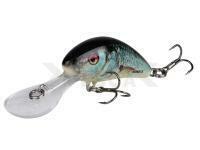 Salmo Hornet 6 cm