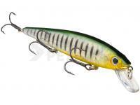 Strike King Señuelos KVD 300 Jerkbait