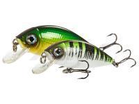 Lucky John Señuelos duros Shad Craft