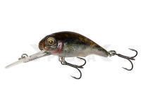 Señuelo Savage Gear 3D Goby Crank 4cm - 01 Goby