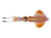 Vinilo Savage Gear 3D LB Swim Squid 18cm 32g - Horny Squid