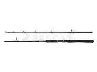 Caña de pescar DAM Iconic2 SW Boat Spinning Rod 2.10m 100-250g