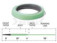 Línea Cortland 333 Sinking Tip | Charcoal / Mint Green | 90ft | WF6S/F