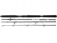 Caña Daiwa BG Offshore Travel 2.40m 40-125g