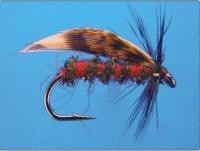 Alder no. 12