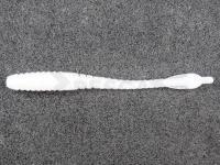 Vinilo Fishup ARW Worm 55mm - 081 Pearl