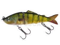 Señuelo Jaxon Atract Multi-parts XMP-E 11,5cm D
