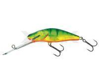 Señuelo Salmo Bullhead BD6SDR HP