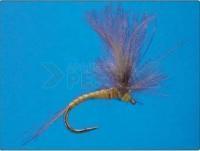 CDC Emerger Olive no.16