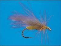 CDC Tan Caddis no.12