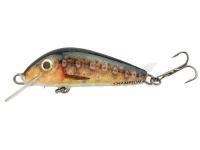 Señuelo Hunter Champion 4.2cm S - RTR