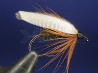 Coachman no. 12